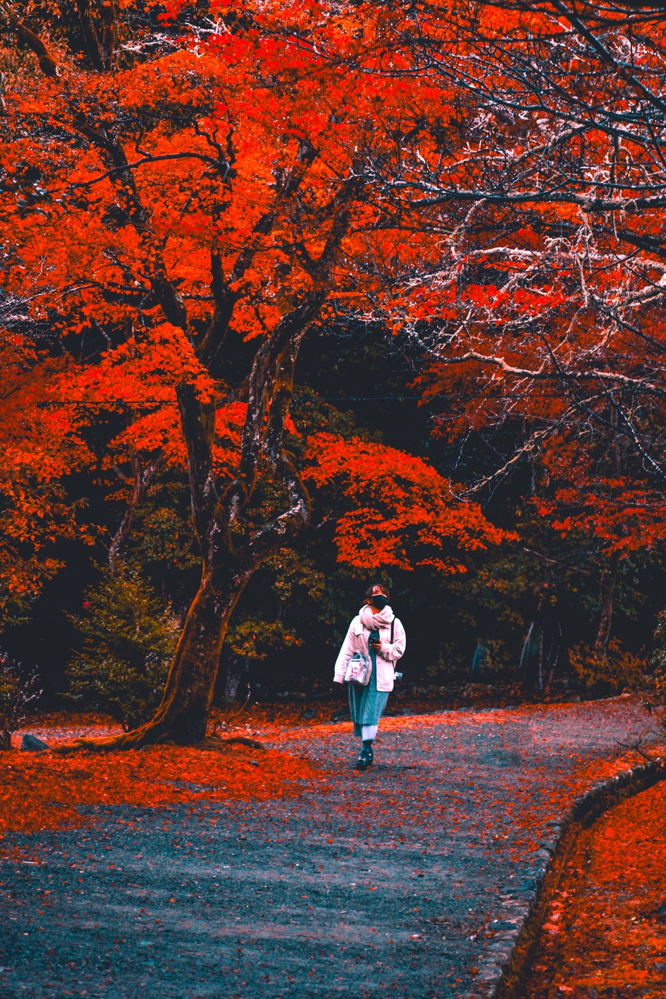 Blood on the leaves